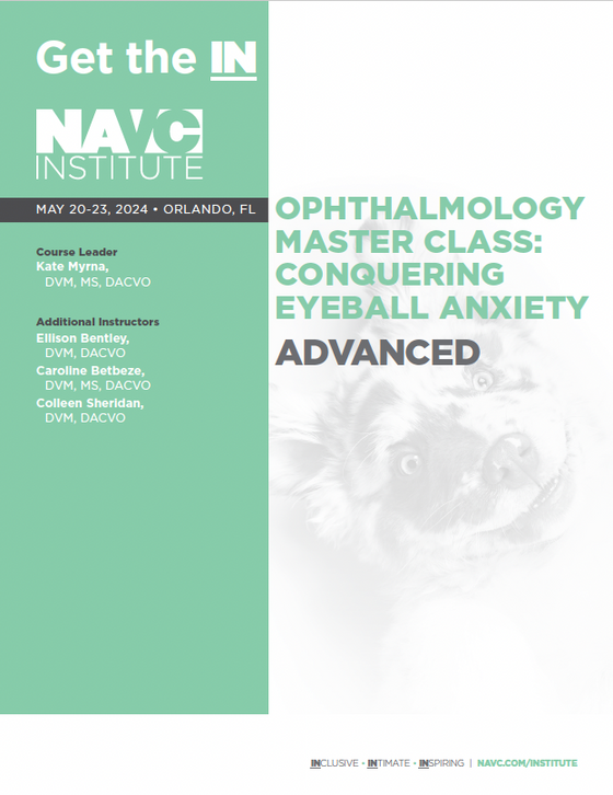 Ophthalmology Master Class: Conquering Eyeball Anxiety Advanced Course Notes - NAVC Institute