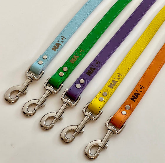 Leather Leashes - Shop NAVC