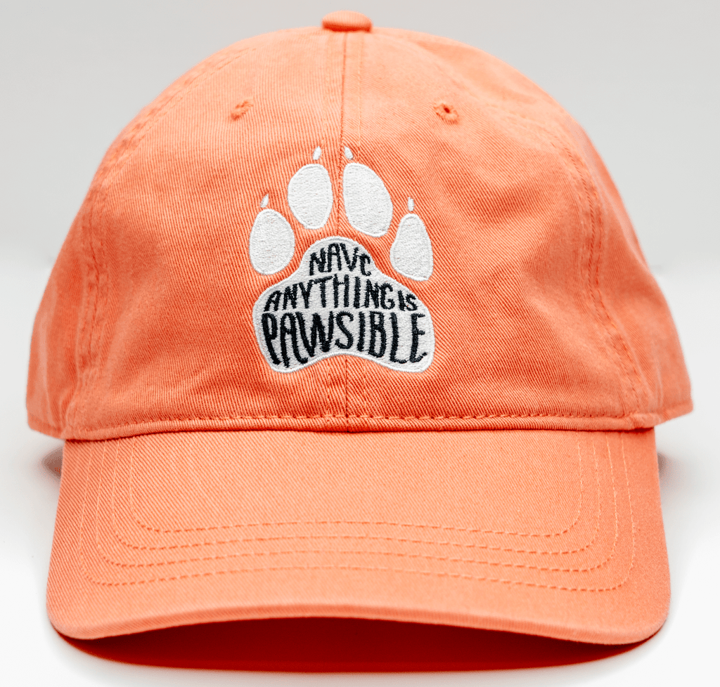 "Anything is Pawsible" Hats - Shop NAVC