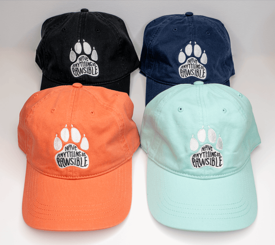 "Anything is Pawsible" Hats - Shop NAVC