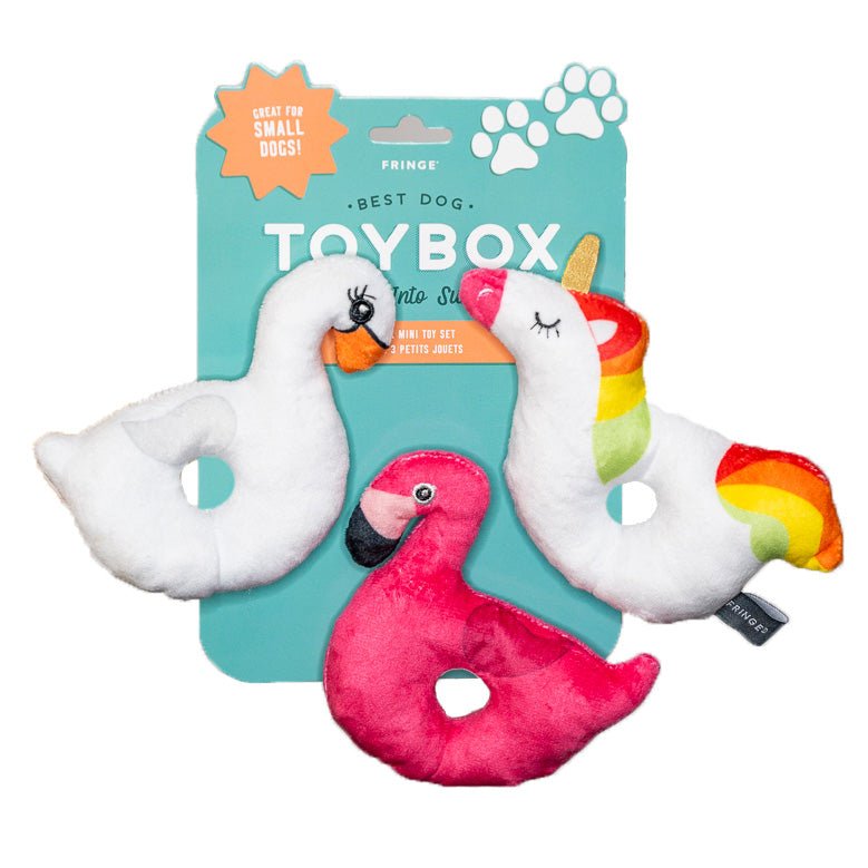 Floaty Time Small Dog Toys - Set Of 3 - Shop NAVC