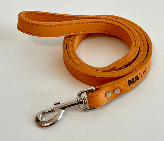 Leather Leashes - Shop NAVC