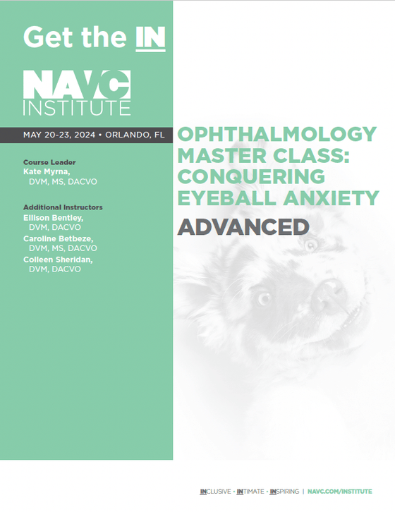 Ophthalmology Master Class: Conquering Eyeball Anxiety Advanced Course Notes - NAVC Institute - Shop NAVC