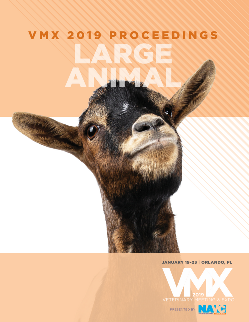 2019 VMX Large Animal Proceedings